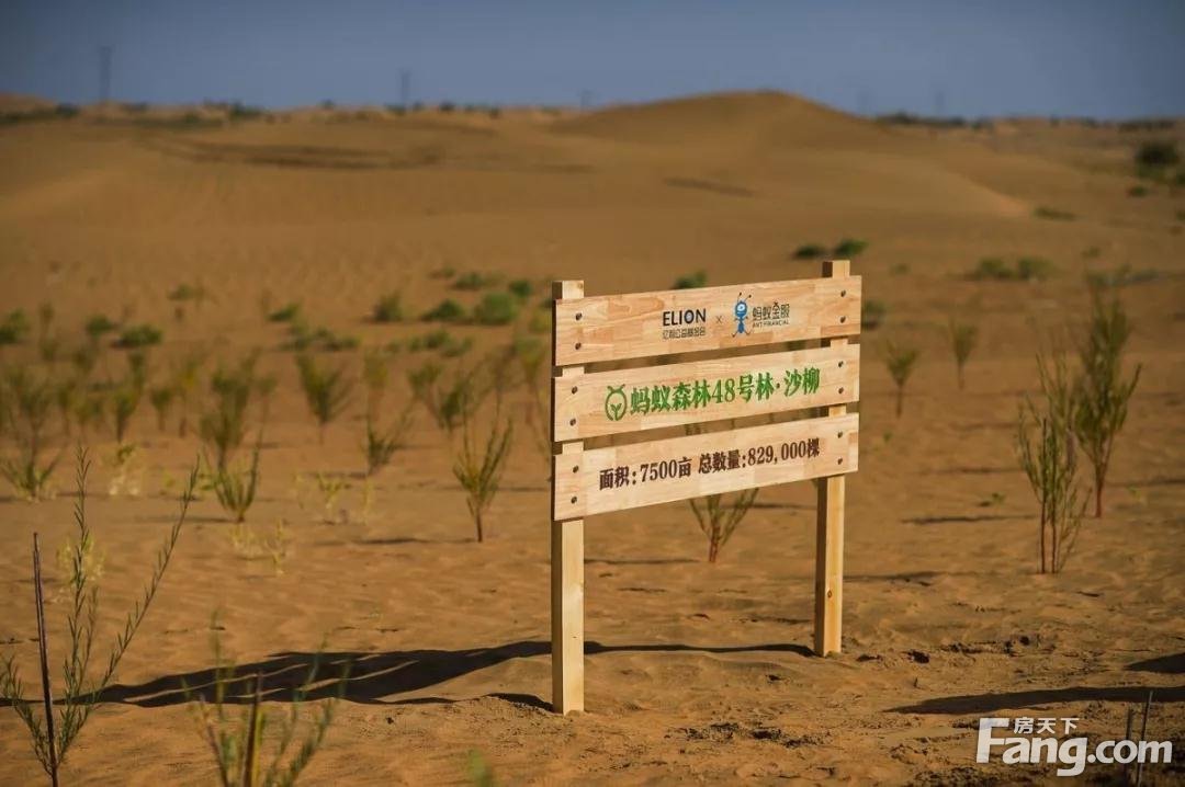 【恒大集团】明日植树节，快来种下梦想